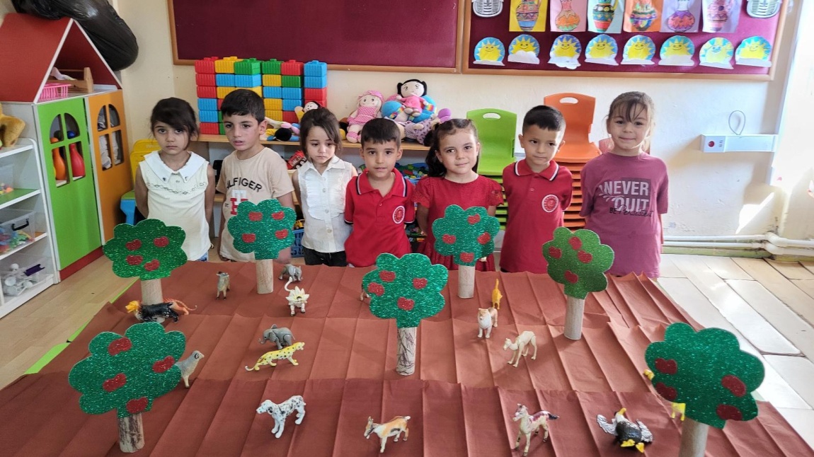 Anasınıfı A Şubesi 