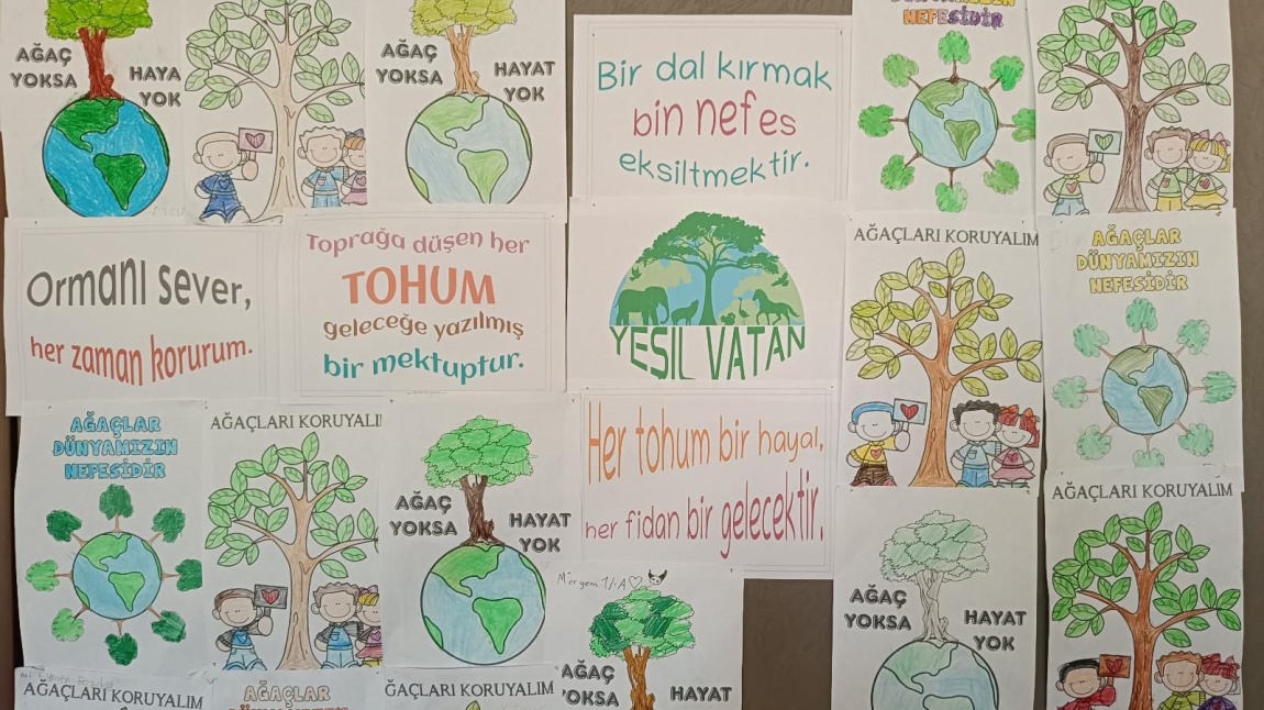 2/A Sınıfı 