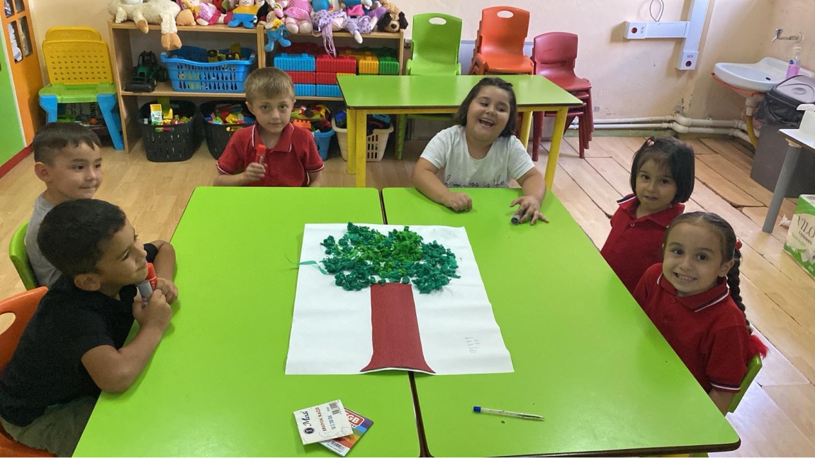 Anasınıfı B Şubesi 